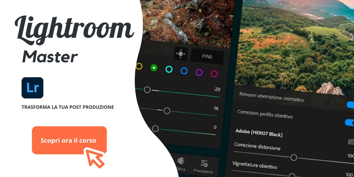 banner corso lightroom master